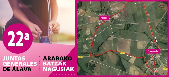 Banner. 22ª Juntas Generales Álava